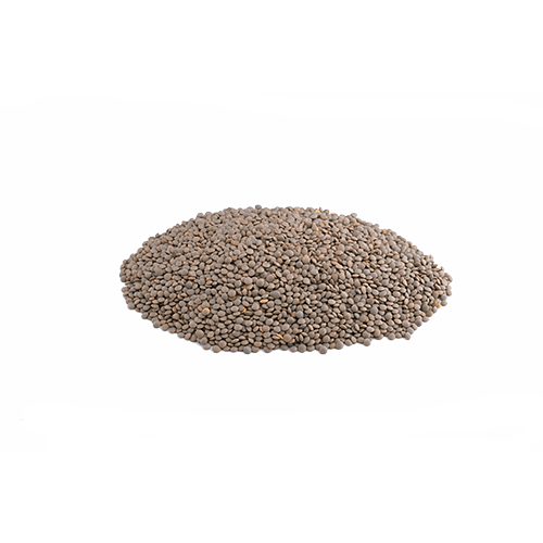 Braune Linsen (1kg)