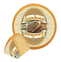 [5049] Landana Gouda mit Kreuzkuemmel