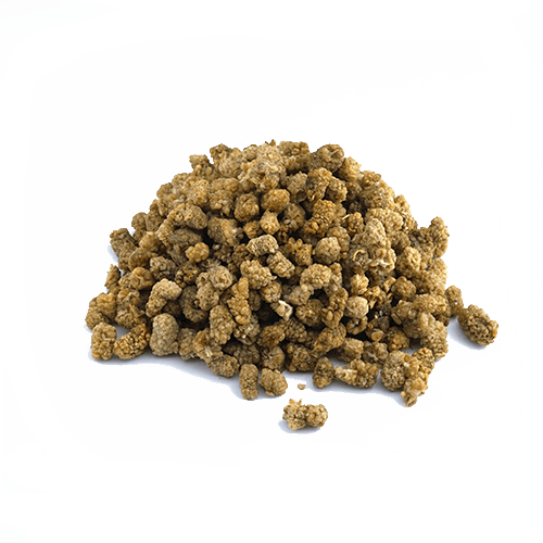 Maulbeeren weiß (1kg)