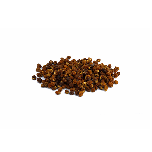 [1518] Physalis (1kg)