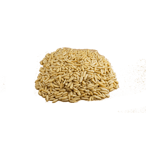 [471] Pinienkerne aus Pakistan (1x10kg)