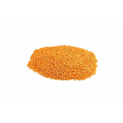 [54] Rote Linsen (1kg)