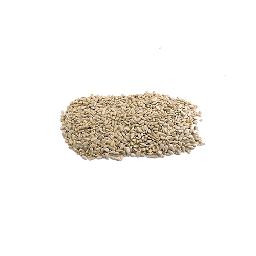 [40148] Sonnenblumenkerne roh Jumbo (1kg)